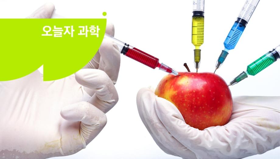 GMO 상용화 20년, 이제는 안전한가? 이미지